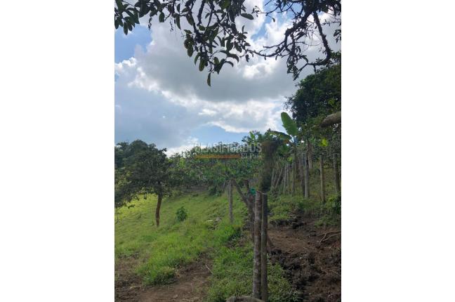 Casas, Venta en Dagua