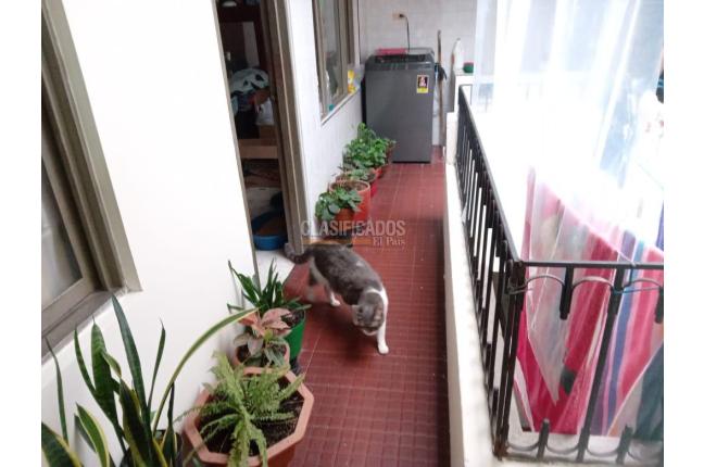 Casas, Venta, El Guabal - $270.000.000