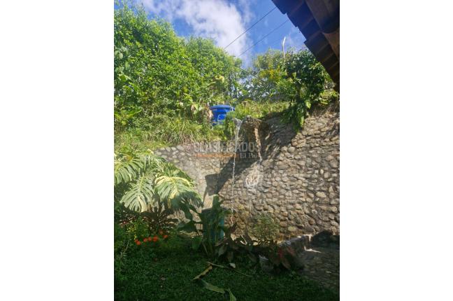 Fincas y Casas Campestres, Venta, Calima (Darién) - $650.000.000