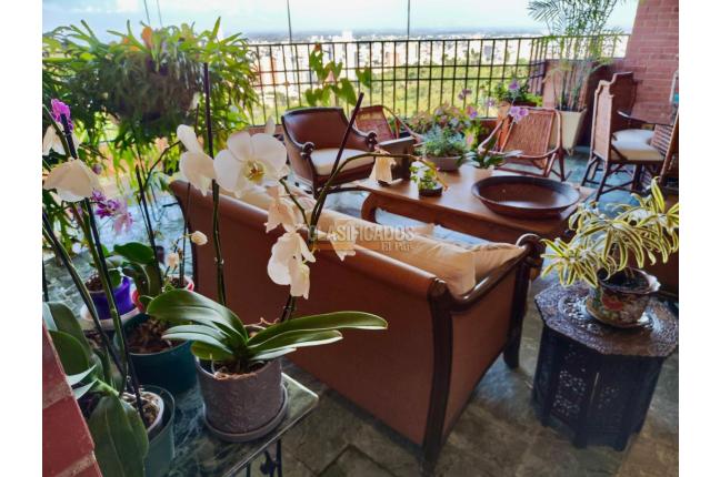 Apartamentos, Alquiler, Bellavista - $15.131.250