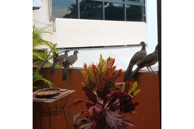 Apartamentos, Venta, Cristales - $848.816.330