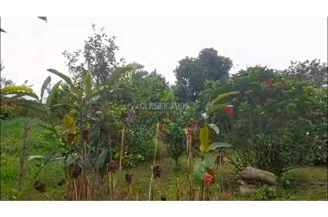 Fincas y Casas Campestres, Venta, La Cumbre - $800.000.000