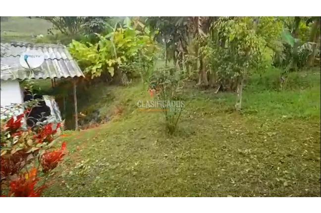 Fincas y Casas Campestres, Venta, La Cumbre - $800.000.000