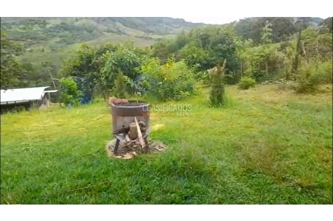 Fincas y Casas Campestres, Venta, La Cumbre - $800.000.000