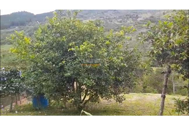 Fincas y Casas Campestres, Venta, La Cumbre - $800.000.000