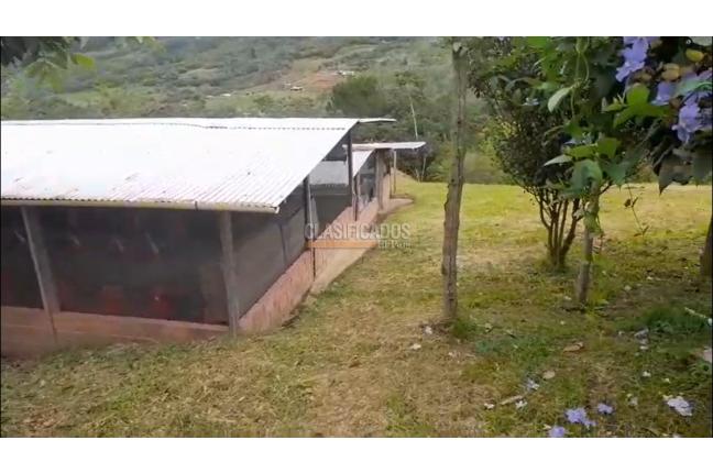 Fincas y Casas Campestres, Venta, La Cumbre - $800.000.000