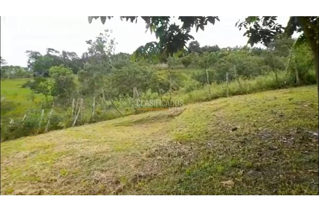 Fincas y Casas Campestres, Venta, La Cumbre - $800.000.000