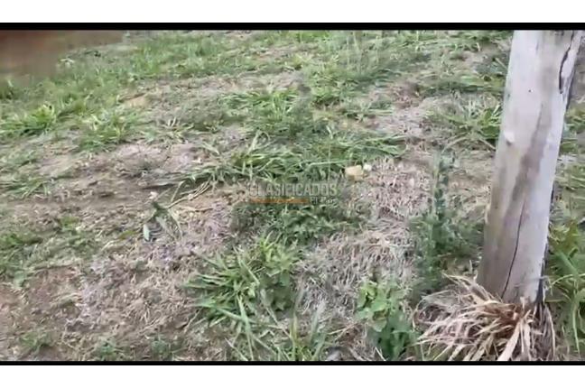 Lotes, Venta, Dapa - $770.000.000