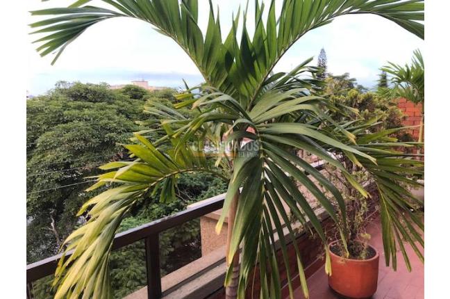 Apartamentos, Venta, La Flora - $600.000.000