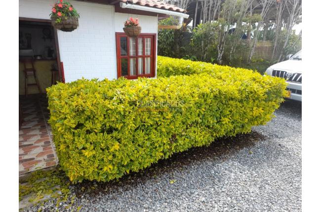 Fincas y Casas Campestres, Venta, Guatape - $380.000.000