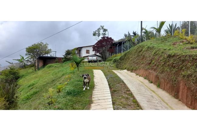 Fincas y Casas Campestres, Venta, Guatape - $380.000.000