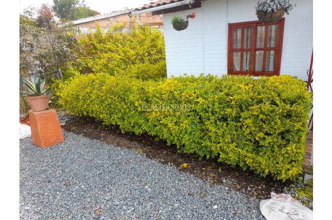 Fincas y Casas Campestres, Venta, Guatape - $380.000.000