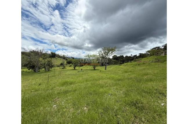 Lotes, Venta, Dagua - $95.000.000