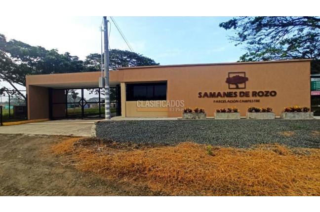 Casas, Venta, Palmira - $1.250.000.000