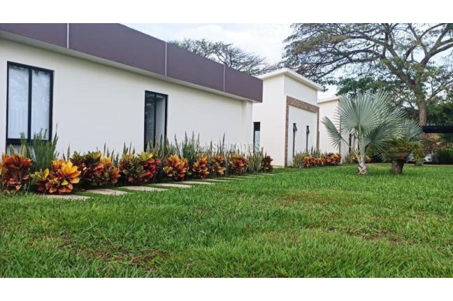Casas, Venta, Palmira - $1.250.000.000