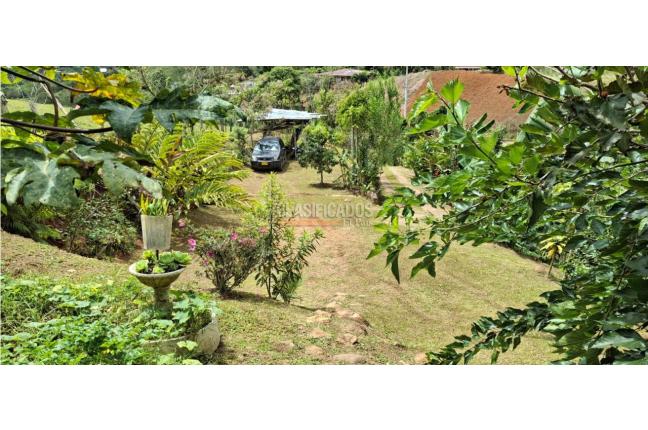 Fincas y Casas Campestres, Venta, Saladito - $398.000.000