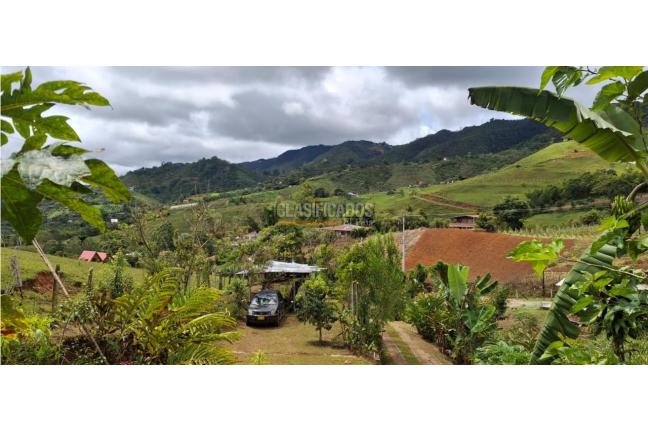 Fincas y Casas Campestres, Venta, Saladito - $398.000.000