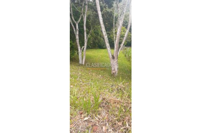 Lotes, Venta, Jamundí - $273.000.000