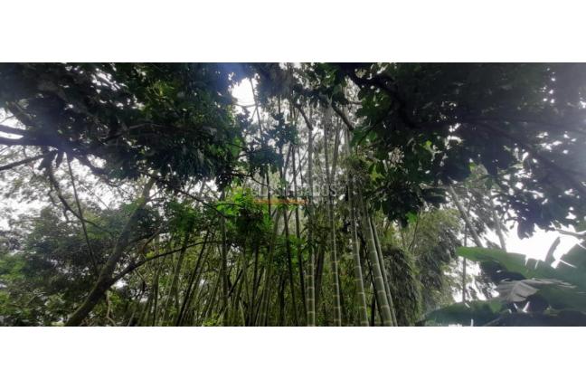 Lotes, Venta, Jamundí - $130.000.000