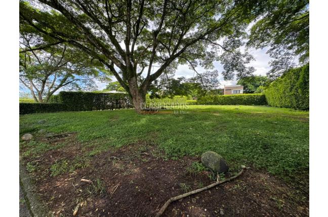 Lotes, Venta en Pance