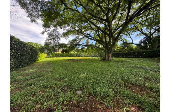 Lotes, Venta en Pance