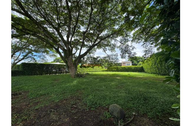 Lotes, Venta en Pance