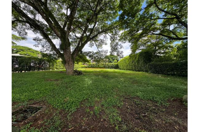 Lotes, Venta, Pance - $650.000.000