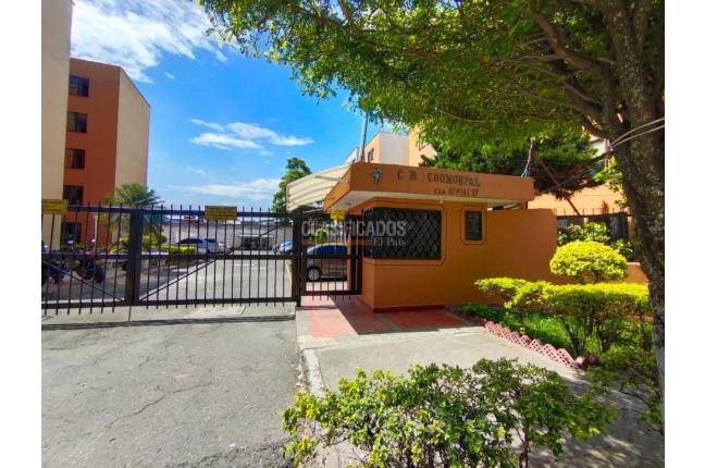 Apartamentos, Alquiler en La Selva