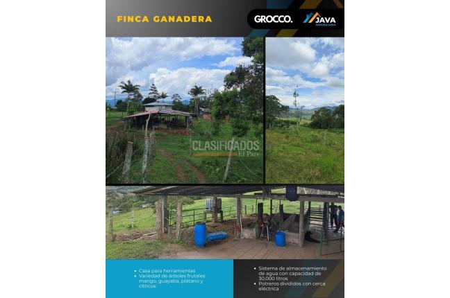 Fincas y Casas Campestres, Venta, Restrepo - $900.000.000