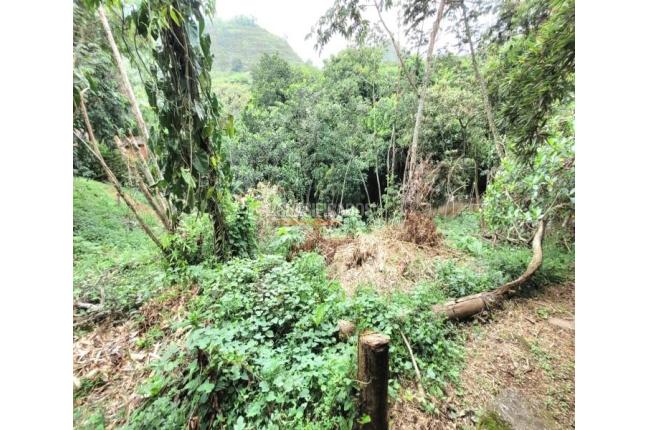 Lotes, Venta, Bella Suiza - $500.000.000