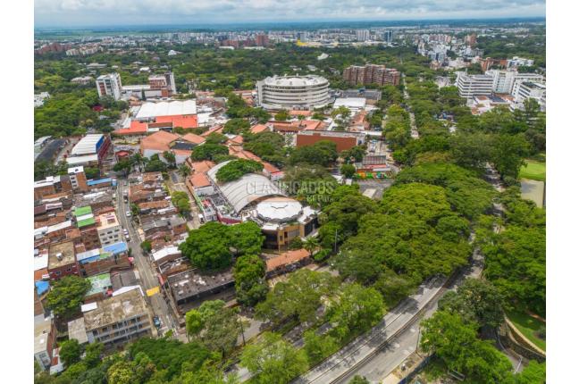 Locales y Bodegas, Alquiler, La Playa - $25.000.000