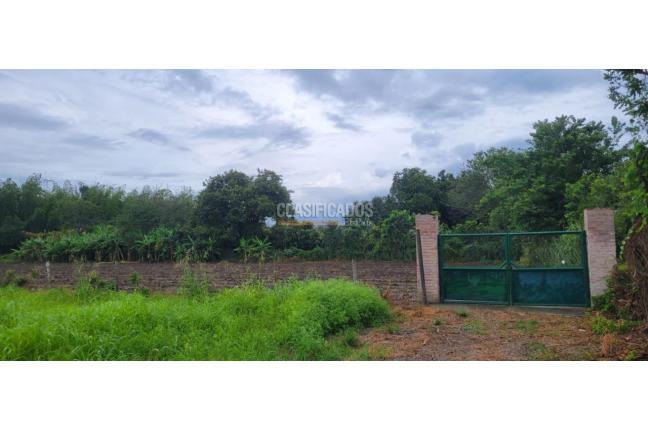 Lotes, Venta en Palmira