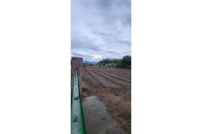 Lotes, Venta, Palmira - $950.000.000