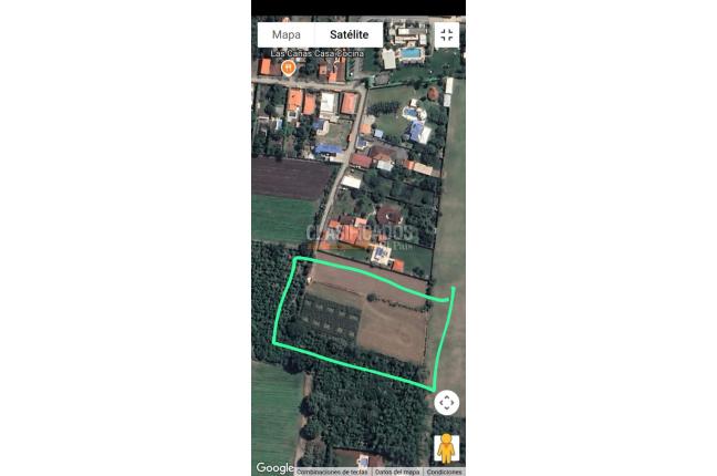 Lotes, Venta, Palmira - $950.000.000