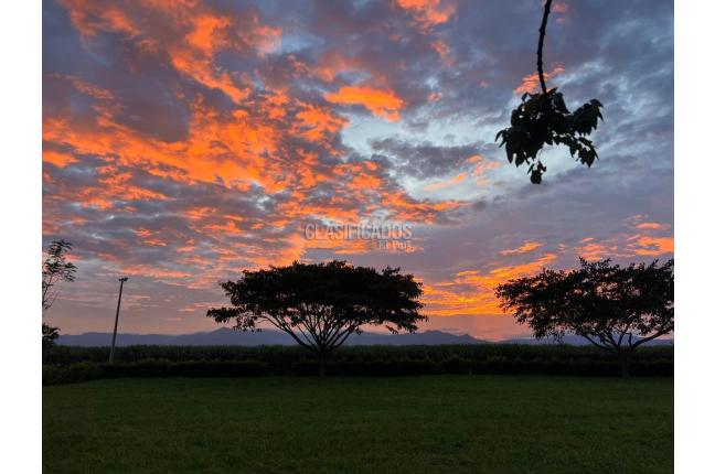 Lotes, Venta, Palmira - $950.000.000