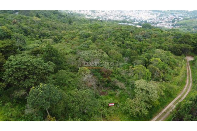 Lotes, Venta, Cristo Rey - $2.000.000.000