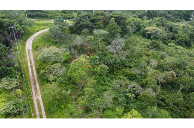 Lotes, Venta, Cristo Rey - $2.000.000.000