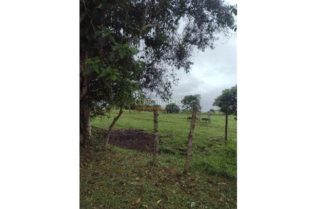 Fincas y Casas Campestres, Venta en Dagua