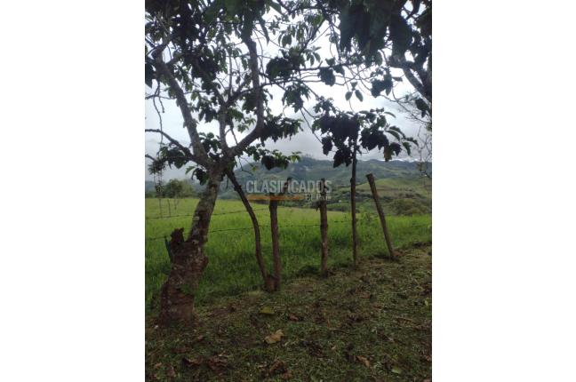 Fincas y Casas Campestres, Venta, Dagua - $2.500.000.000