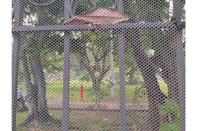 Casas, Venta, La Flora - $1.150.000.000