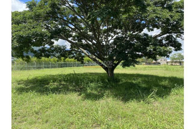 Lotes, Venta en Ginebra