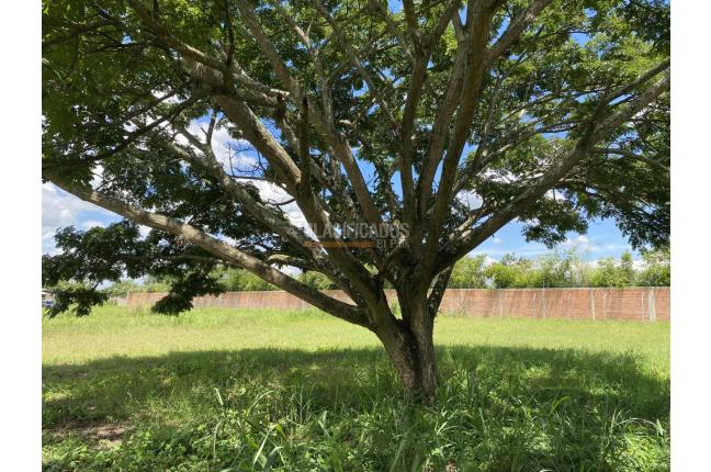 Lotes, Venta, Ginebra - $700.000.000