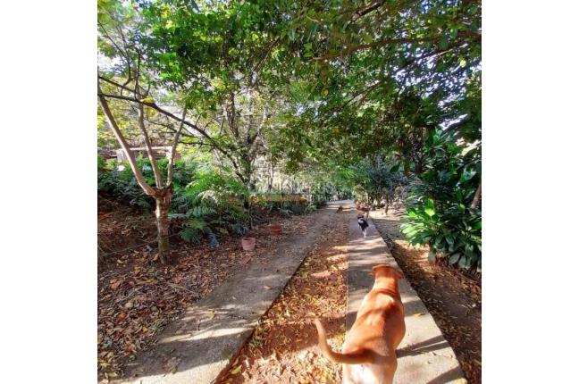 Casas, Venta, La Buitrera - $899.000.000