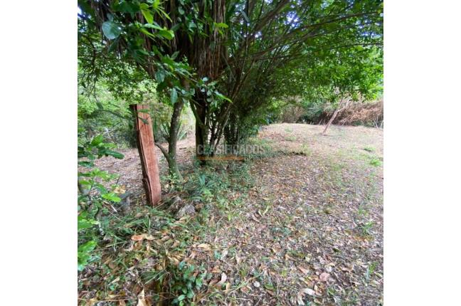 Casas, Venta, La Buitrera - $899.000.000