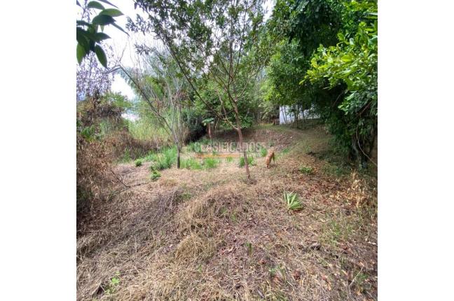 Casas, Venta, La Buitrera - $899.000.000