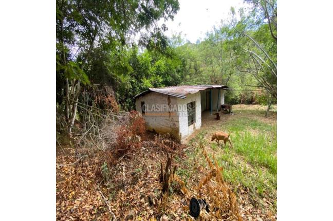 Casas, Venta, La Buitrera - $899.000.000