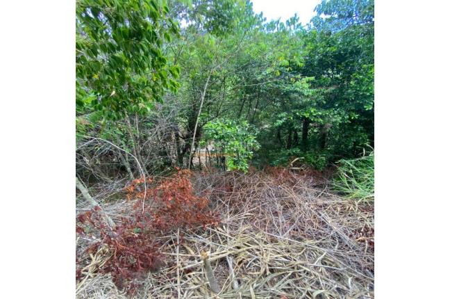 Casas, Venta, La Buitrera - $899.000.000