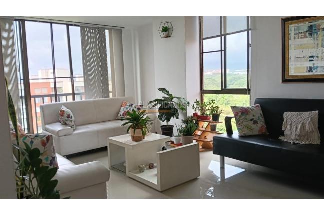 Apartamentos, Venta, El Ingenio - $520.000.000