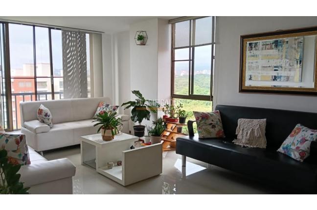 Apartamentos, Venta, El Ingenio - $520.000.000