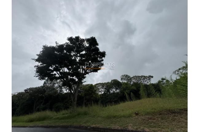 Lotes, Venta, Pance - $1.000.000.000